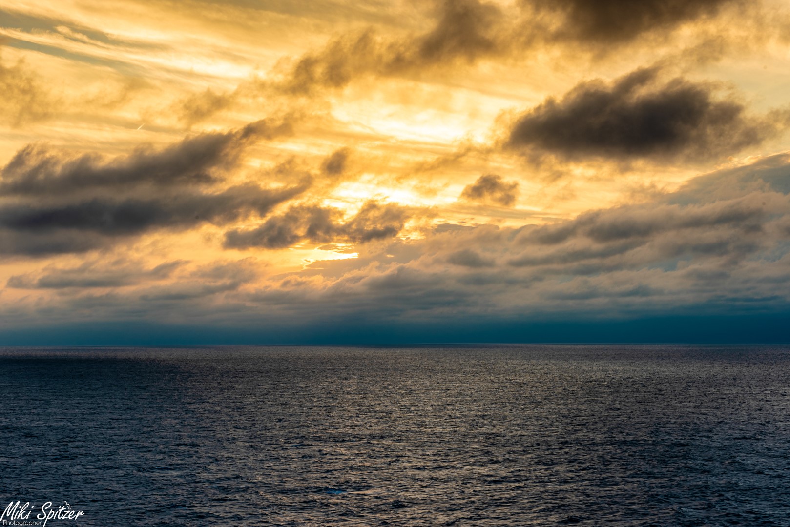 DSC_7927 (Large).jpg