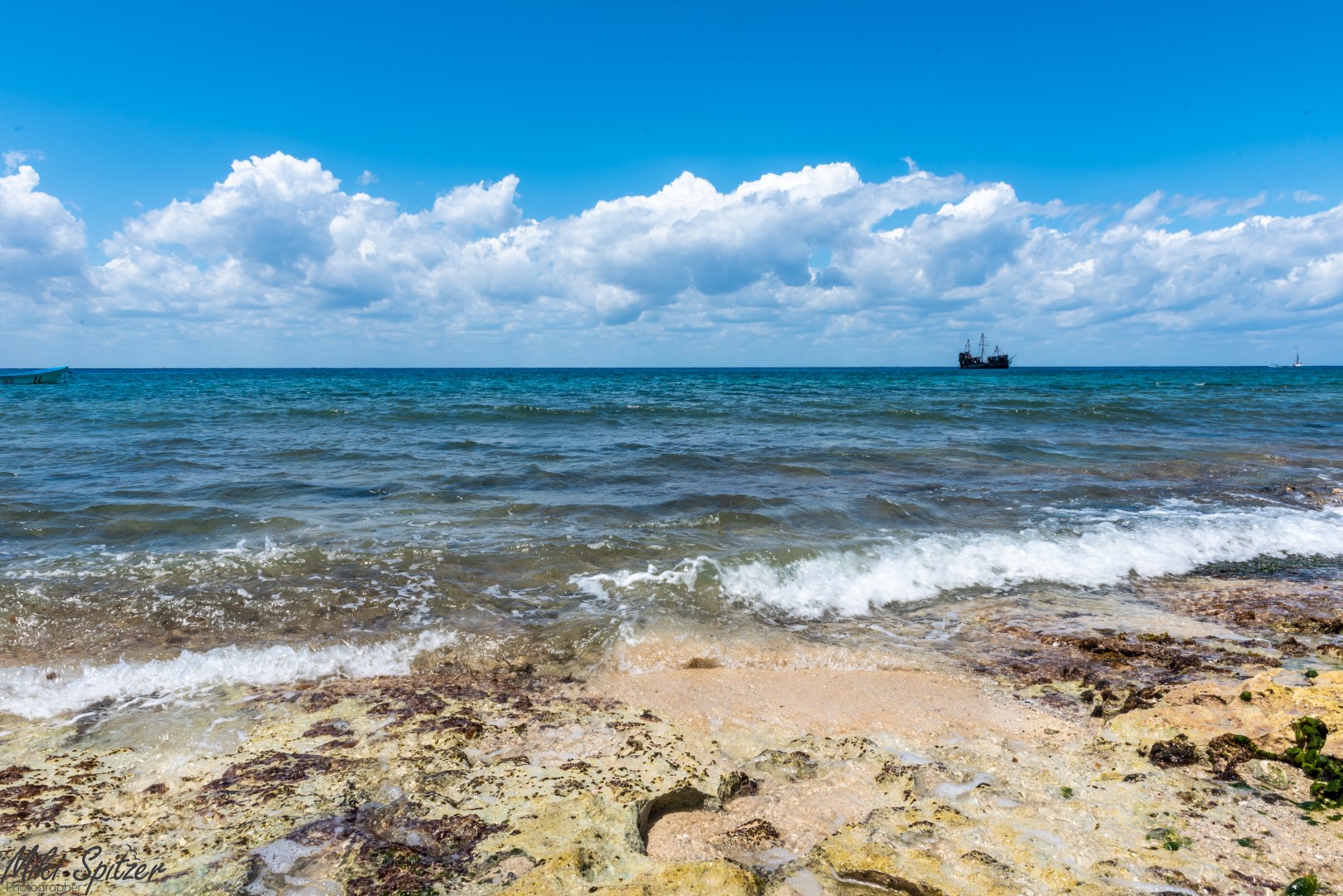 DSC_7976 (1) (Large).jpg