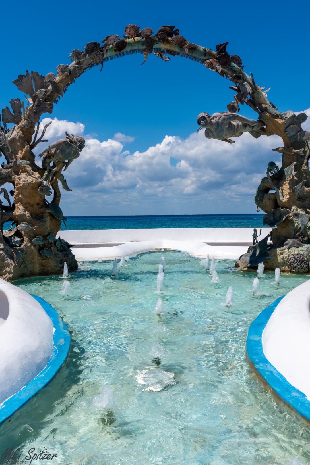 DSC_7982-2 (1) (Large).jpg