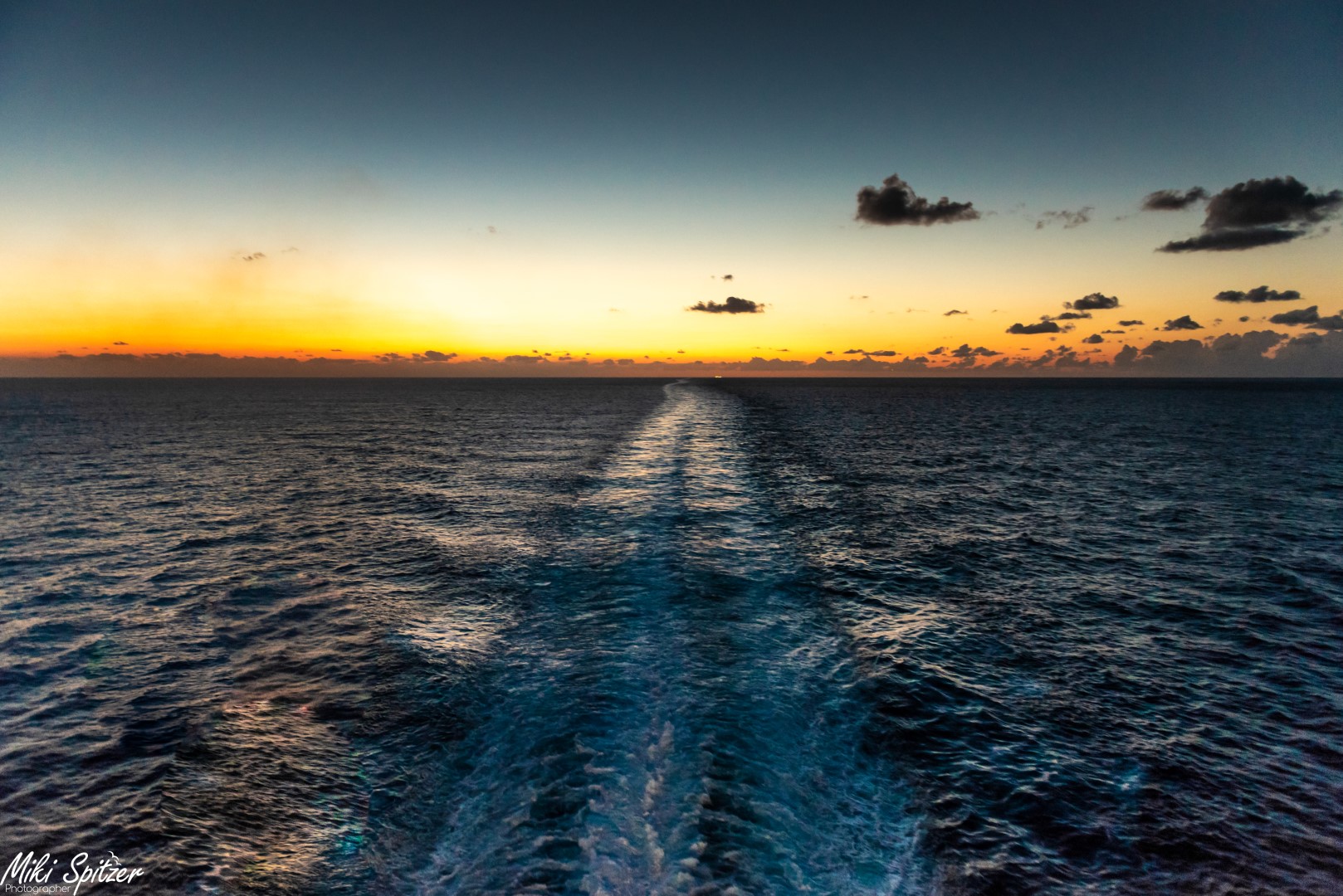 DSC_8001 (Large).jpg