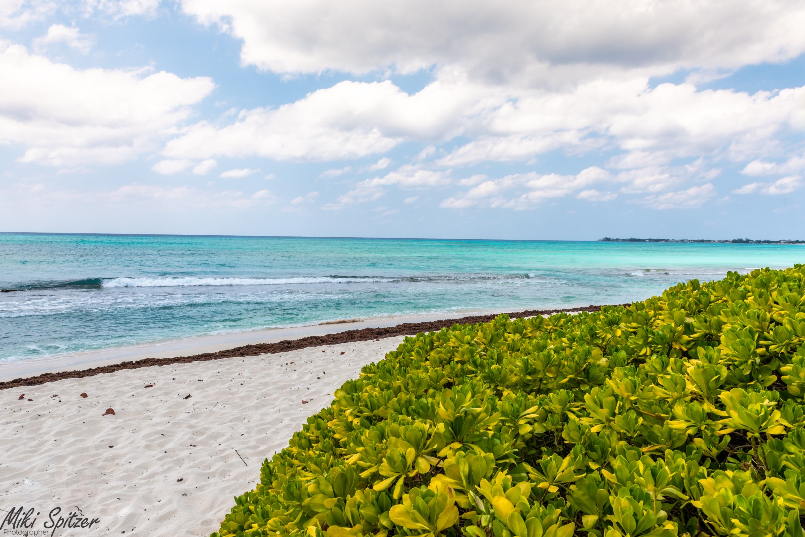 DSC_8033-2 (Large).jpg