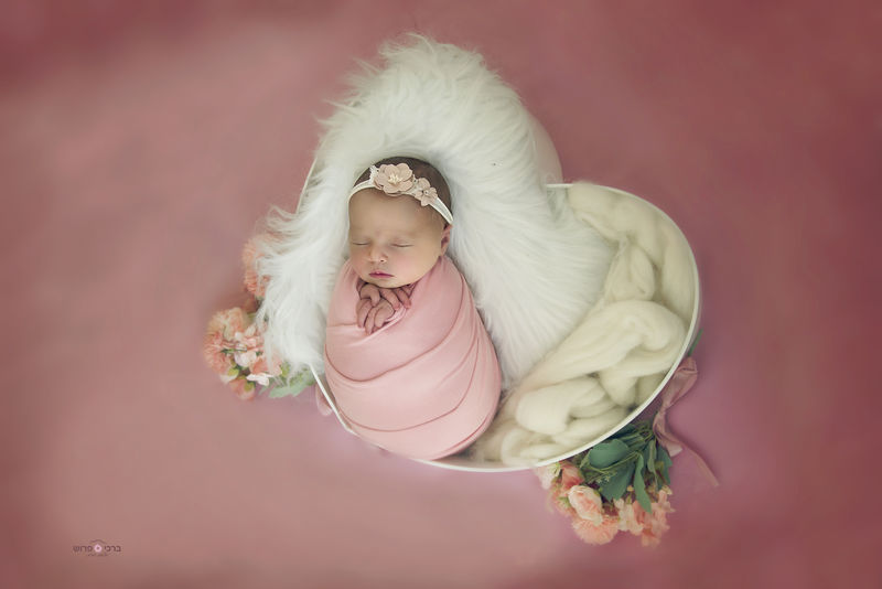 DSC_8741 copy_800x534 (1).jpg