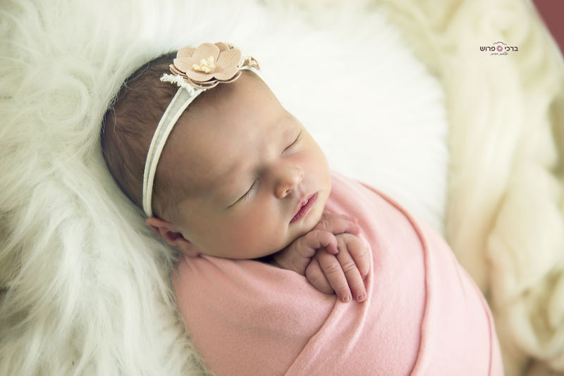 DSC_8759 copy_800x534 (1).jpg