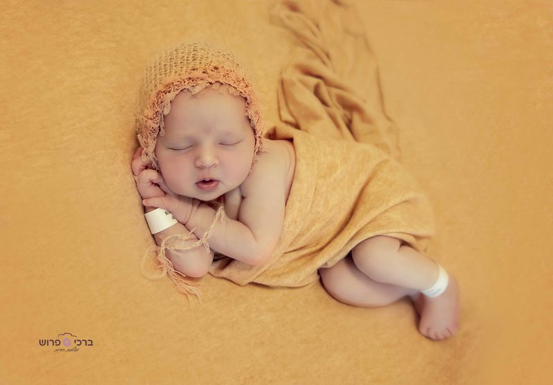 DSC_8886 copy 2_800x557.jpg