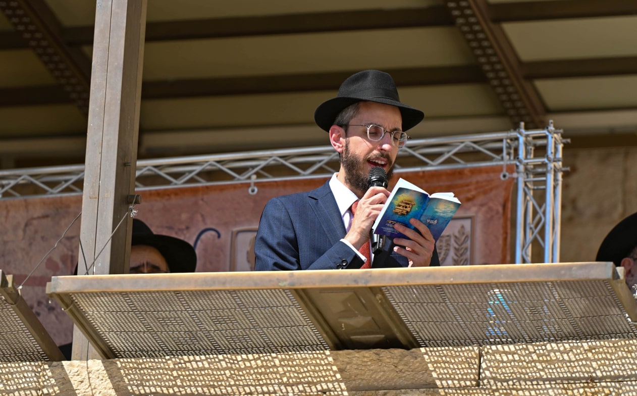 DSC_9015-min 1-min.jpg