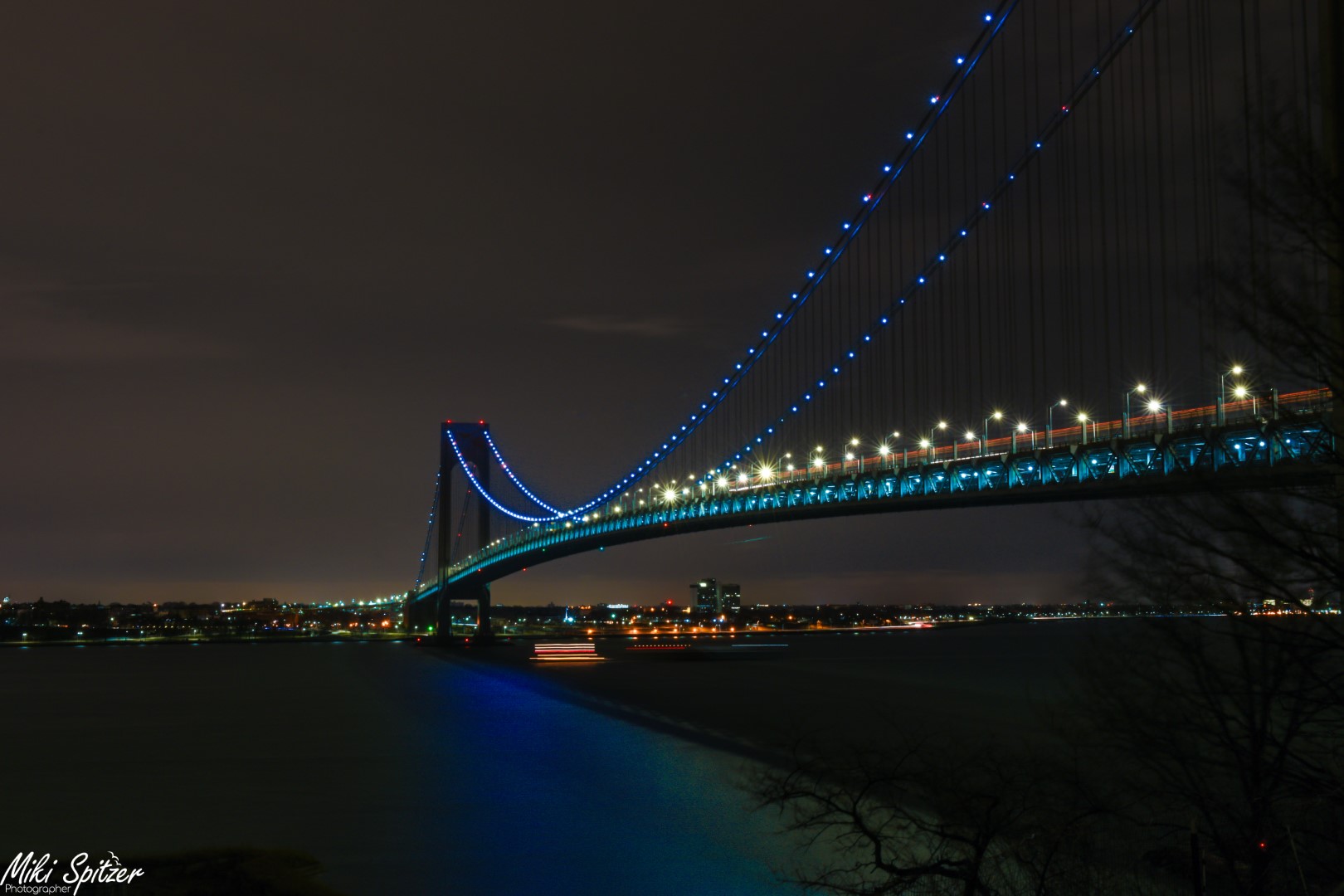 DSC_9162 (Large).jpg