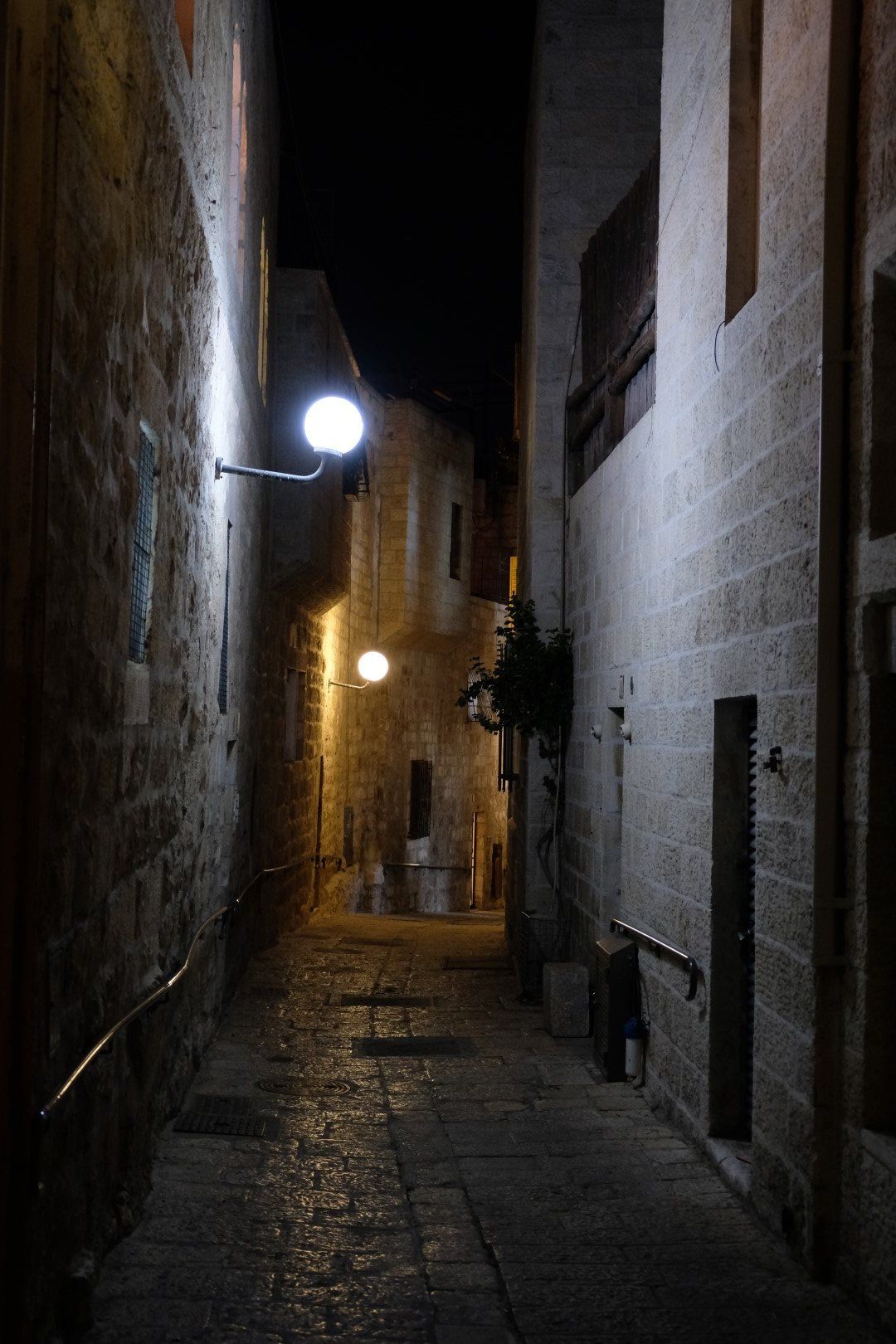 DSCF5950 (גדול).JPG