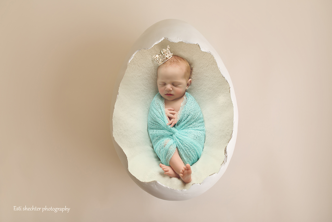 egg (1)מוקטן.jpg