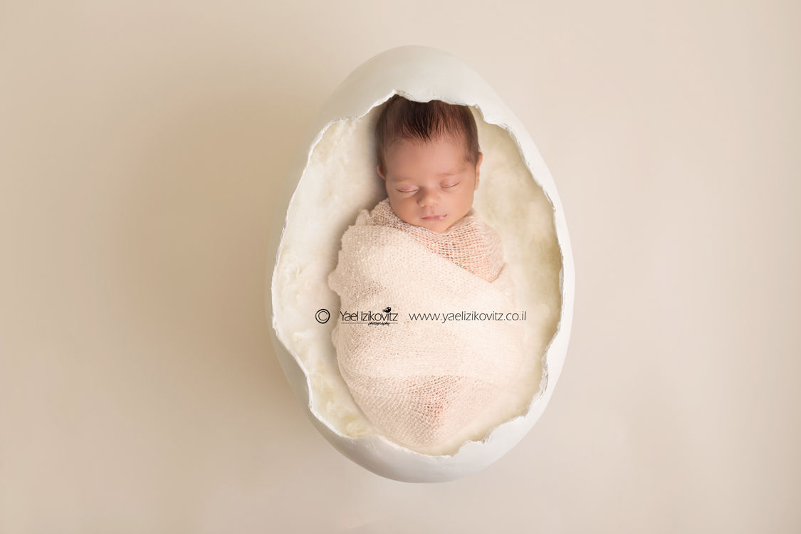 egg.jpg-ברוין.jpg