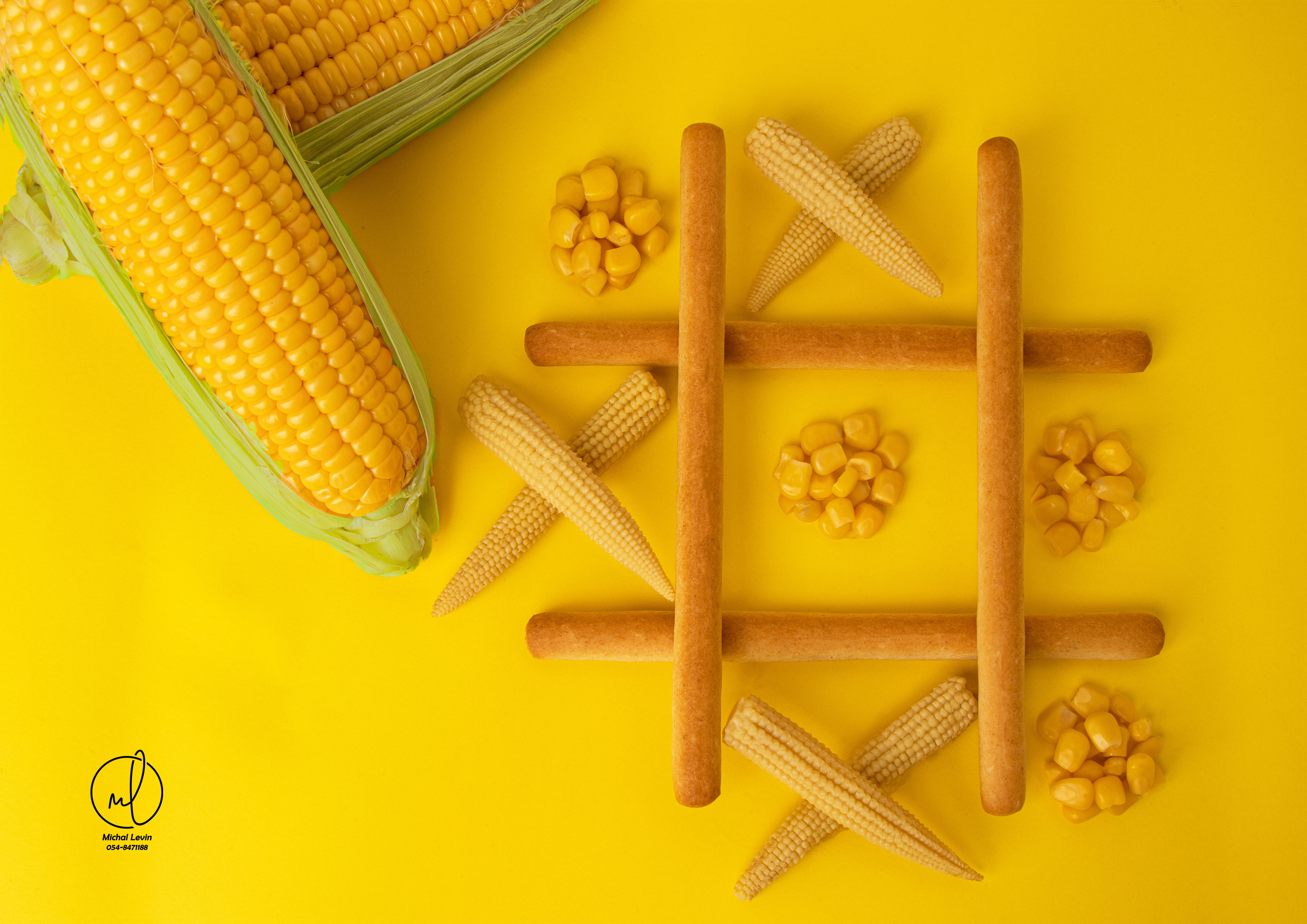 final y copy 2 L.jpg