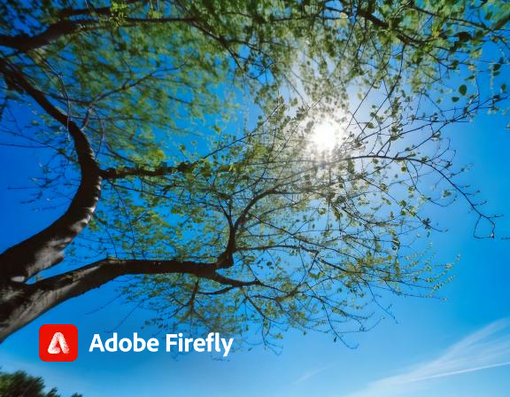 Firefly Make me an image of a clear and sunny sky that highlights a branch from a tree 31510.jpg