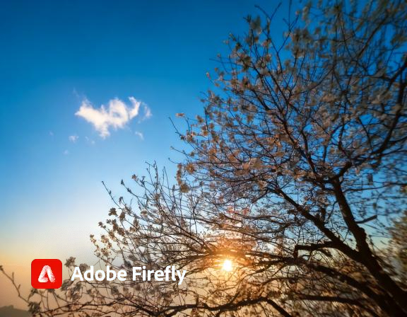 Firefly Make me an image of a clear and sunny sky that highlights a branch from a tree 45055.jpg