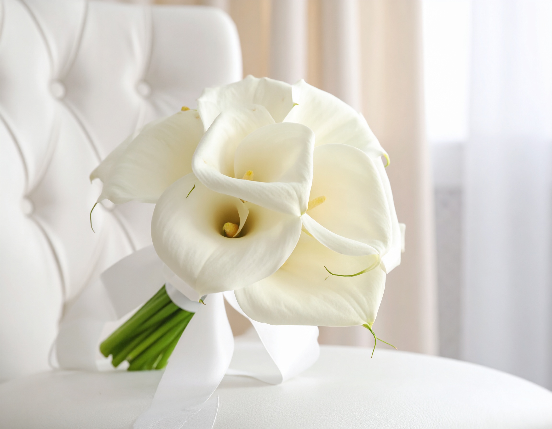 Firefly_זר כלה ארוך ונשפך עשוי מפרח קאלה  נמצא על כסא  כלה מרופד לבן וברקע וילון בצבע קרם 705784.jpg