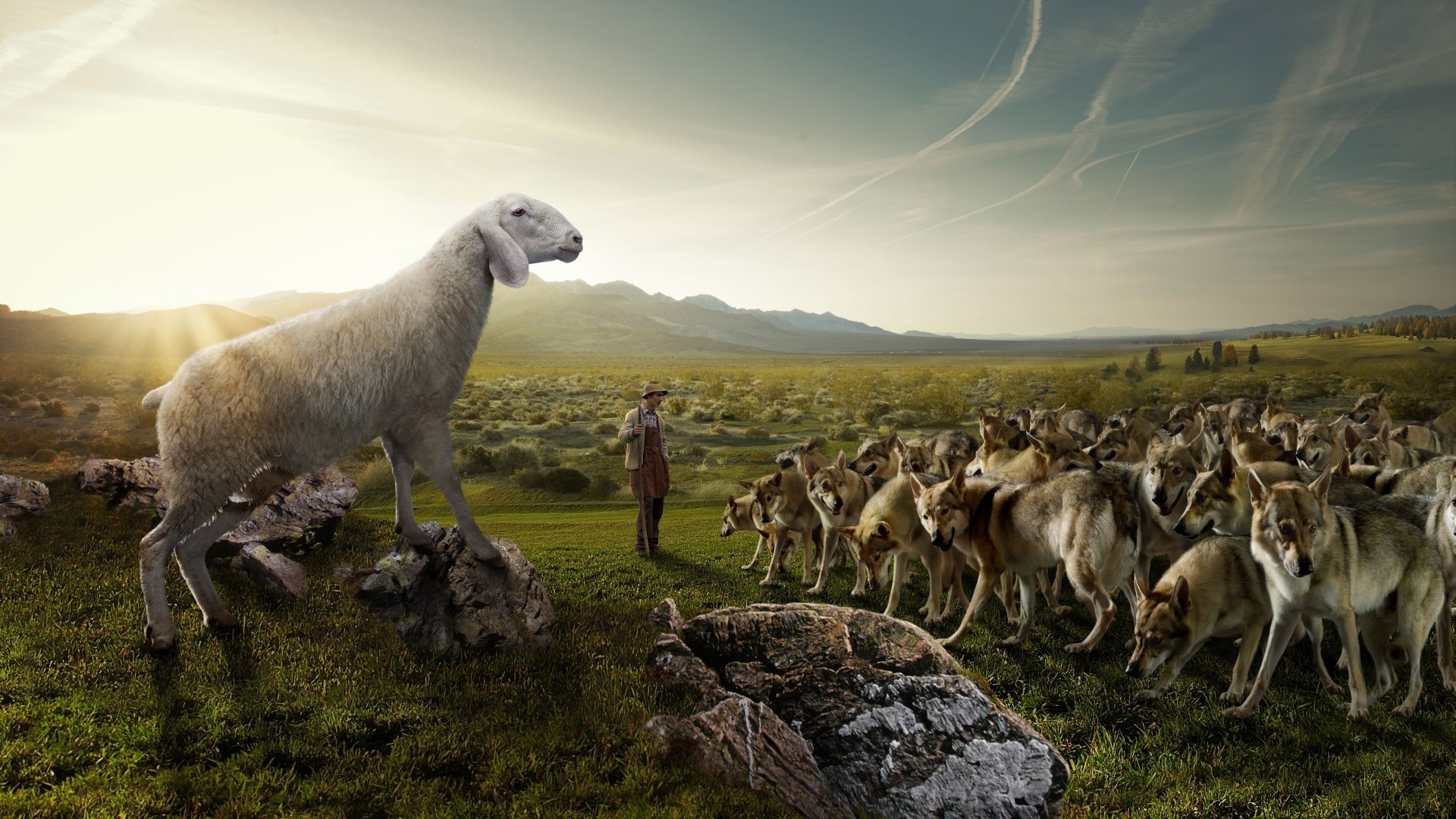 flockwolves-nature-shepherd.jpg