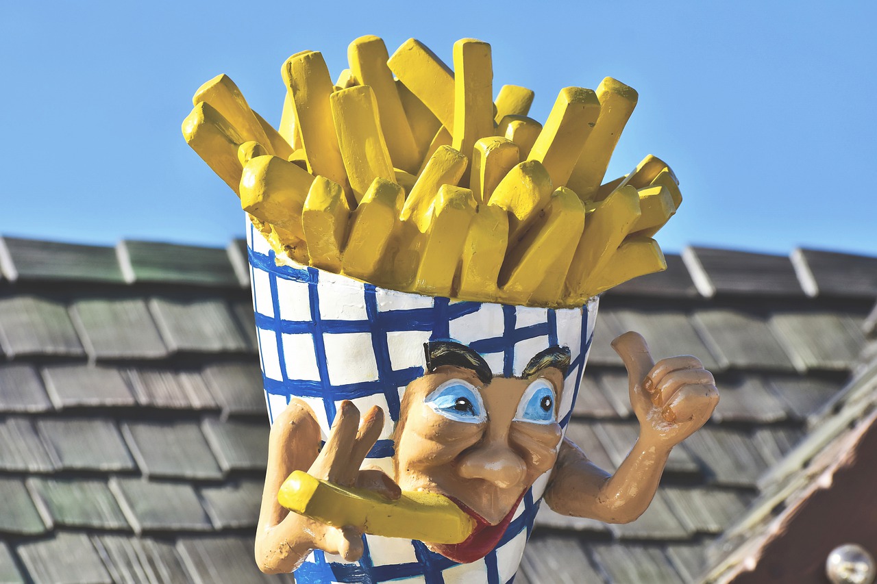 french-fries-4525468_1280.jpg