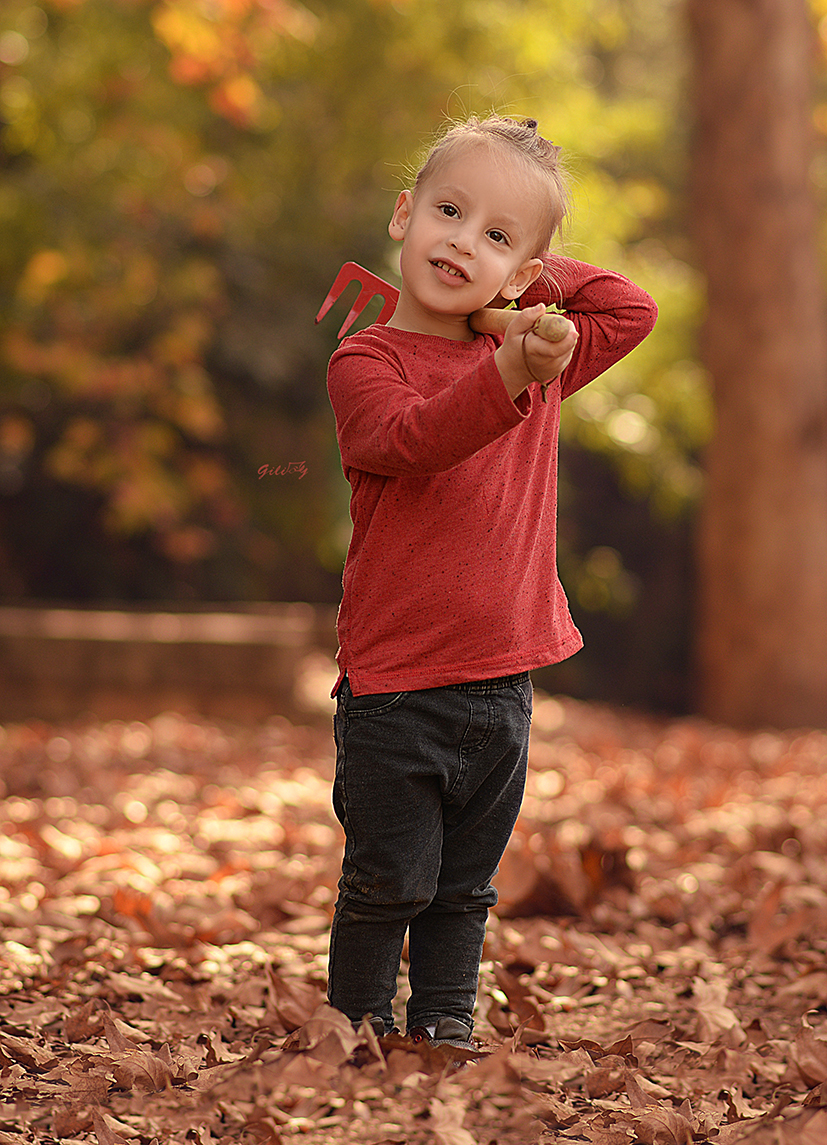 .GILIKE 0527123108.jpg