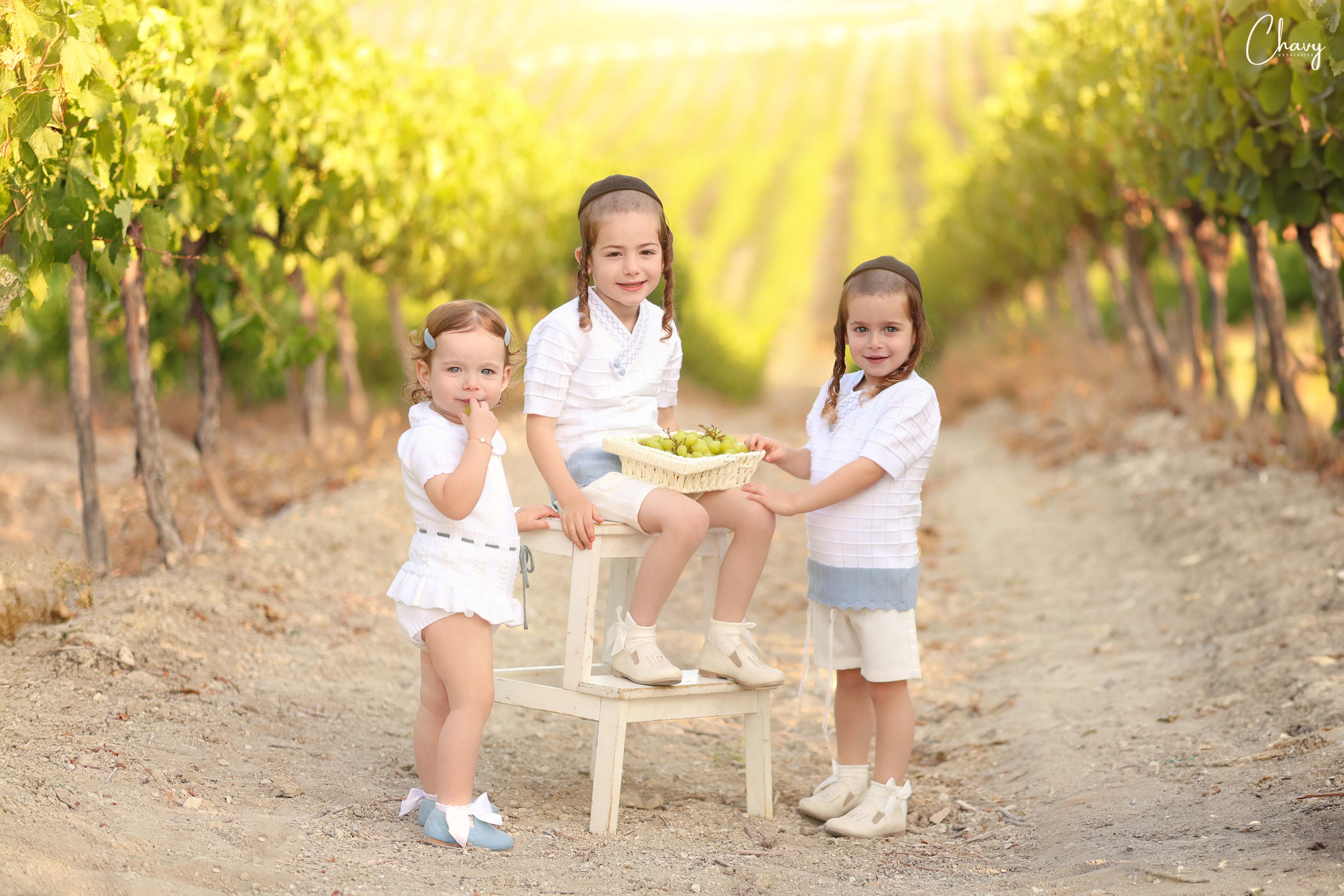 H32A7262  2 copy 2.jpg