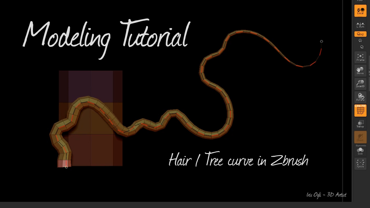 HairModelingTutorial1.jpg