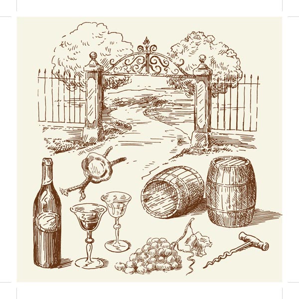 Hand Drawn Illustrations5.jpg