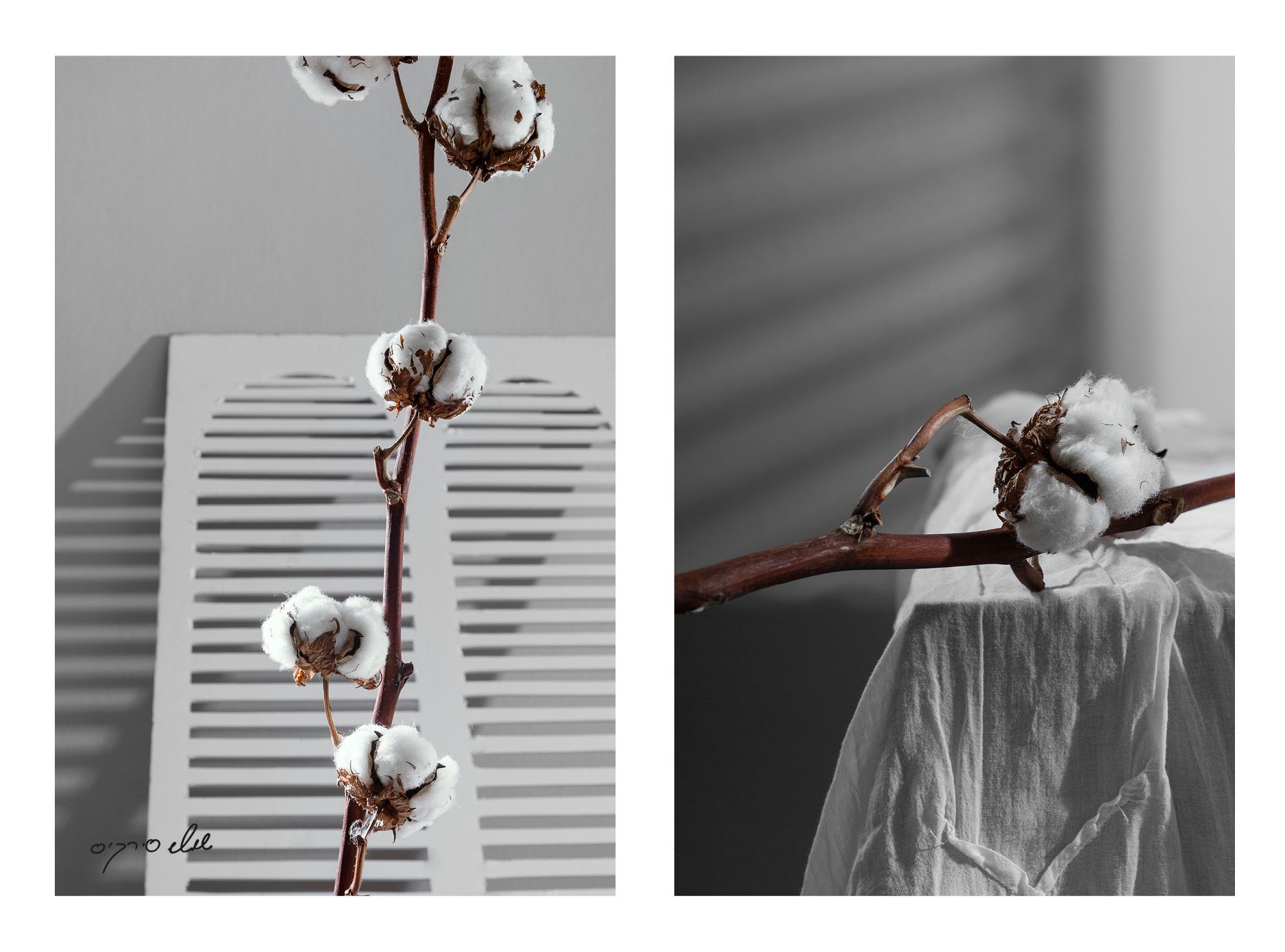 happy29 birthday  shoshi-sitkis.co.il 01.jpg