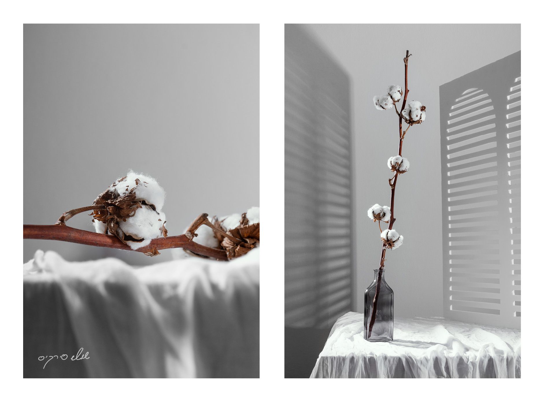 happy29 birthday shoshi-sitkis.co.il7.jpg