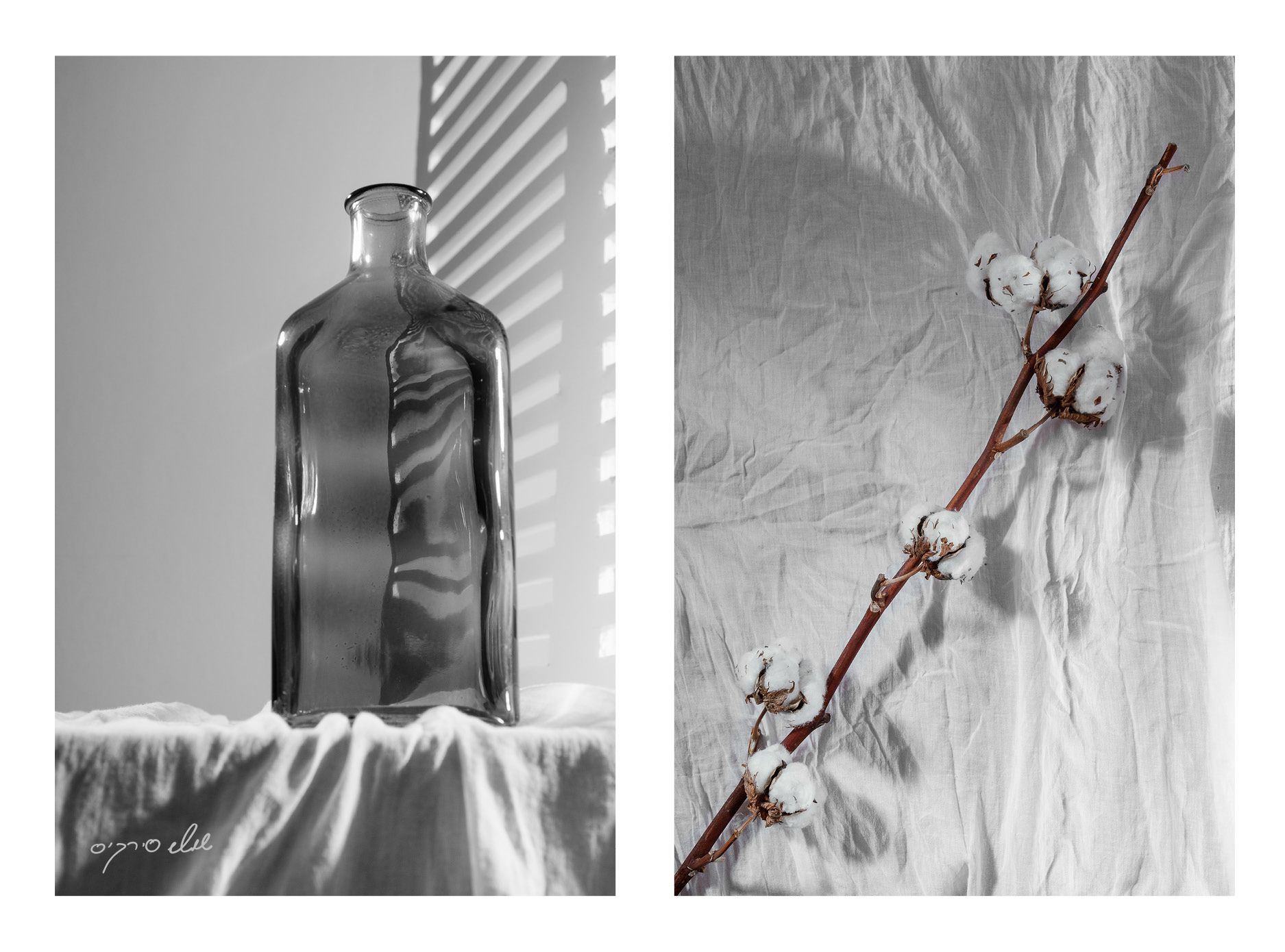 happy29 birthday shoshi-sitkis.co.il8.jpg