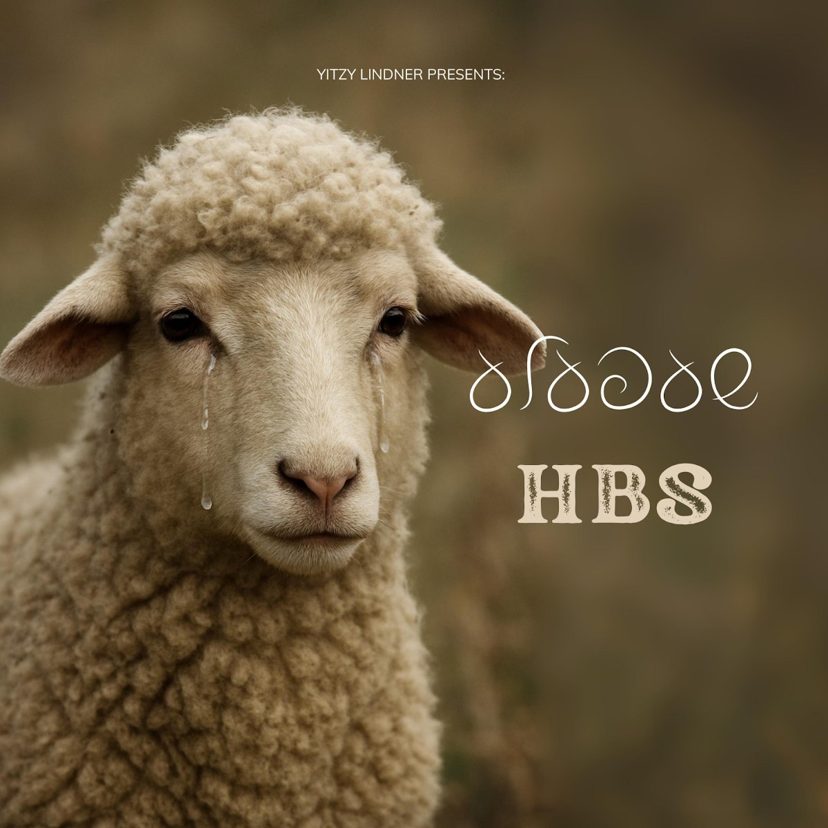 HBS - שעפעלע.jpg