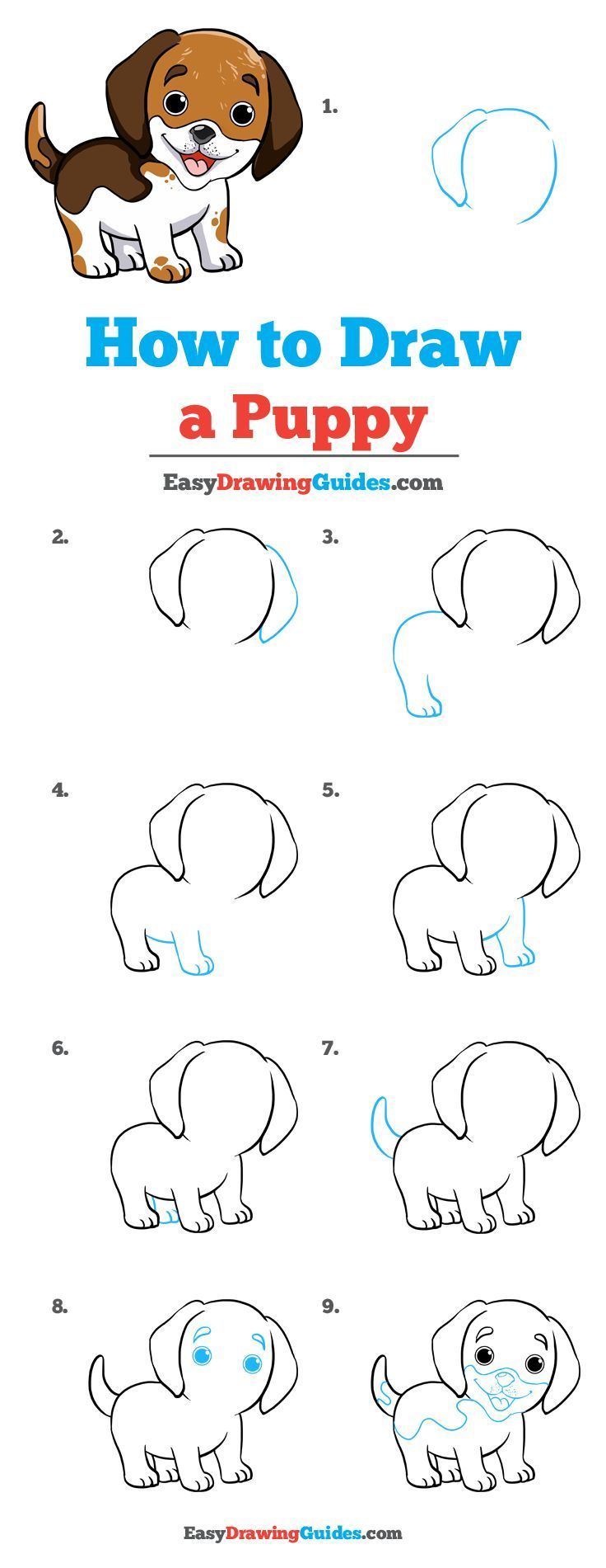How to Draw a Puppy - Really Easy Drawing Tutorial.jpg