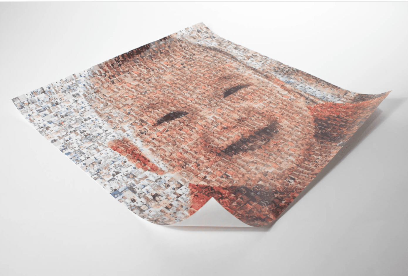 image (8).png