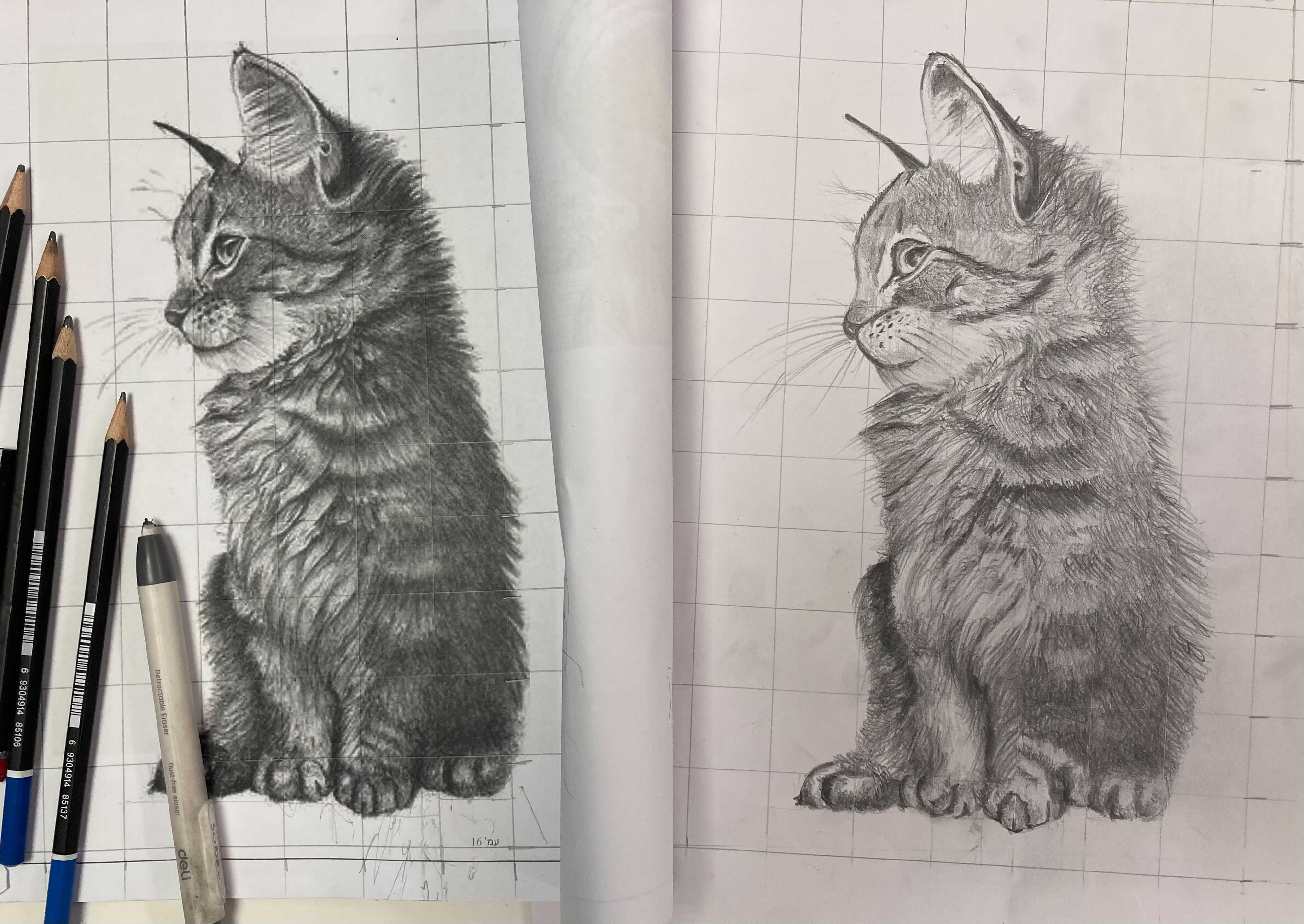 Image from iOS (2).jpg