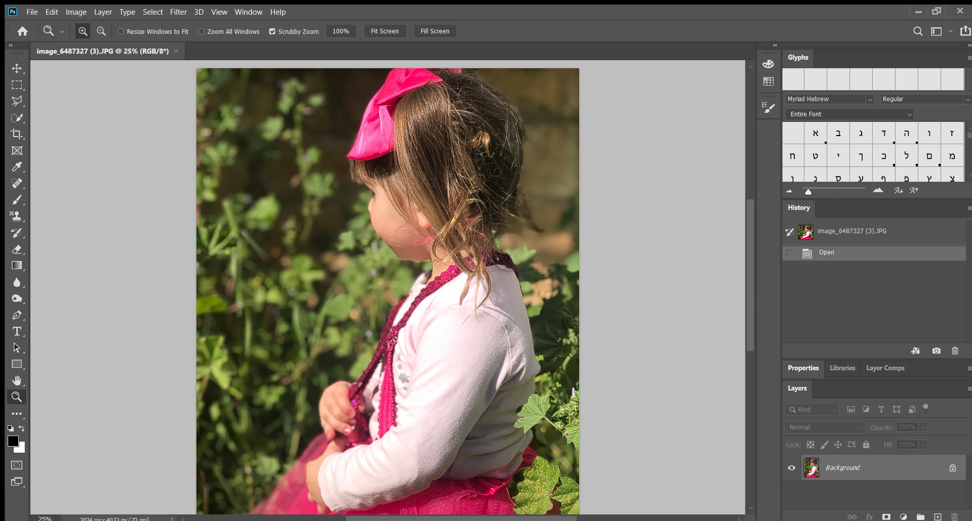 image_6487327 (3).JPG @ 25% (RGB_8_) 03_08_2021 15_38_04.png