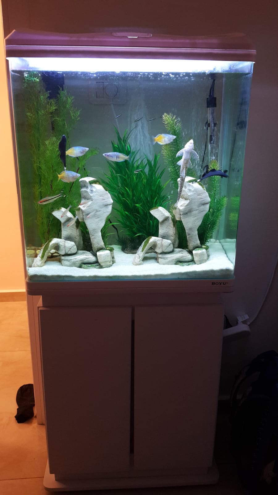 IMG-20181227-WA0002.jpg