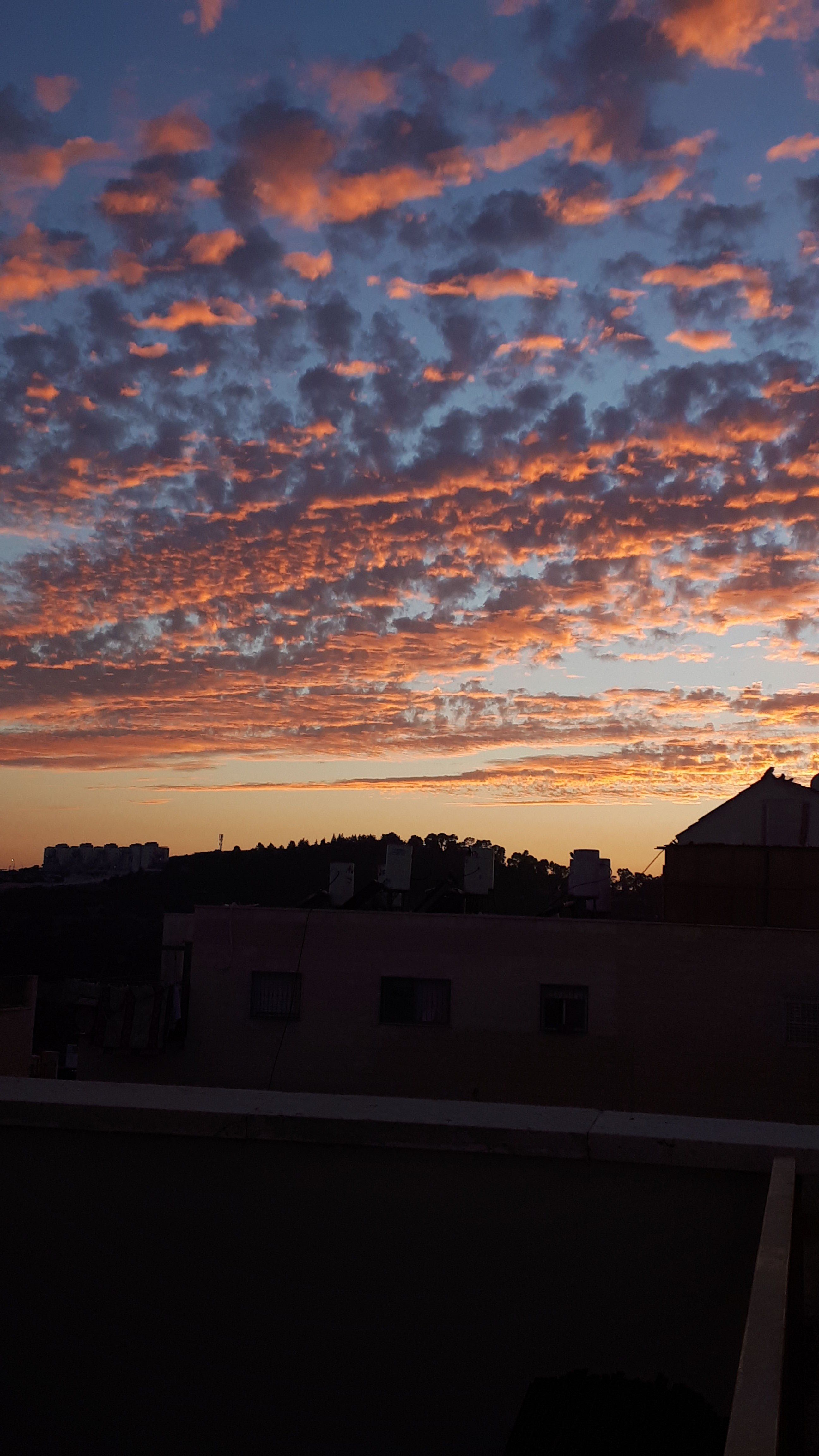 IMG-20201013-WA0021.jpeg