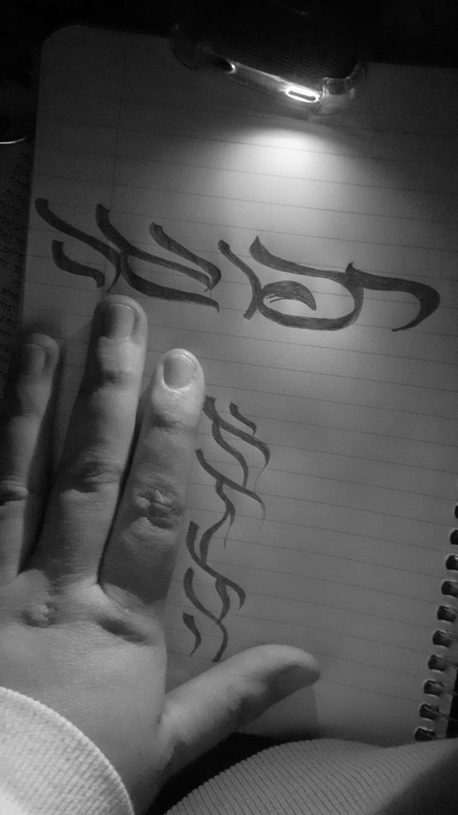 IMG-20240213-WA0004 copy.jpg