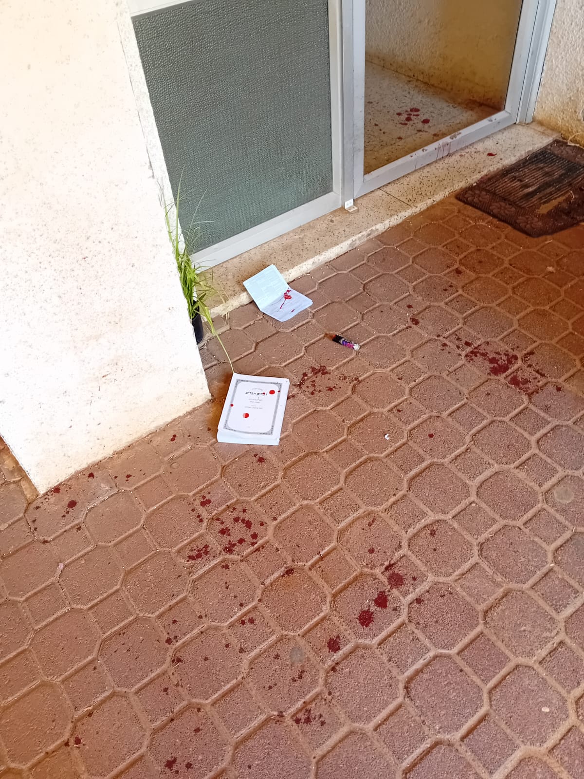 IMG-20241009-WA0054 (1).jpg