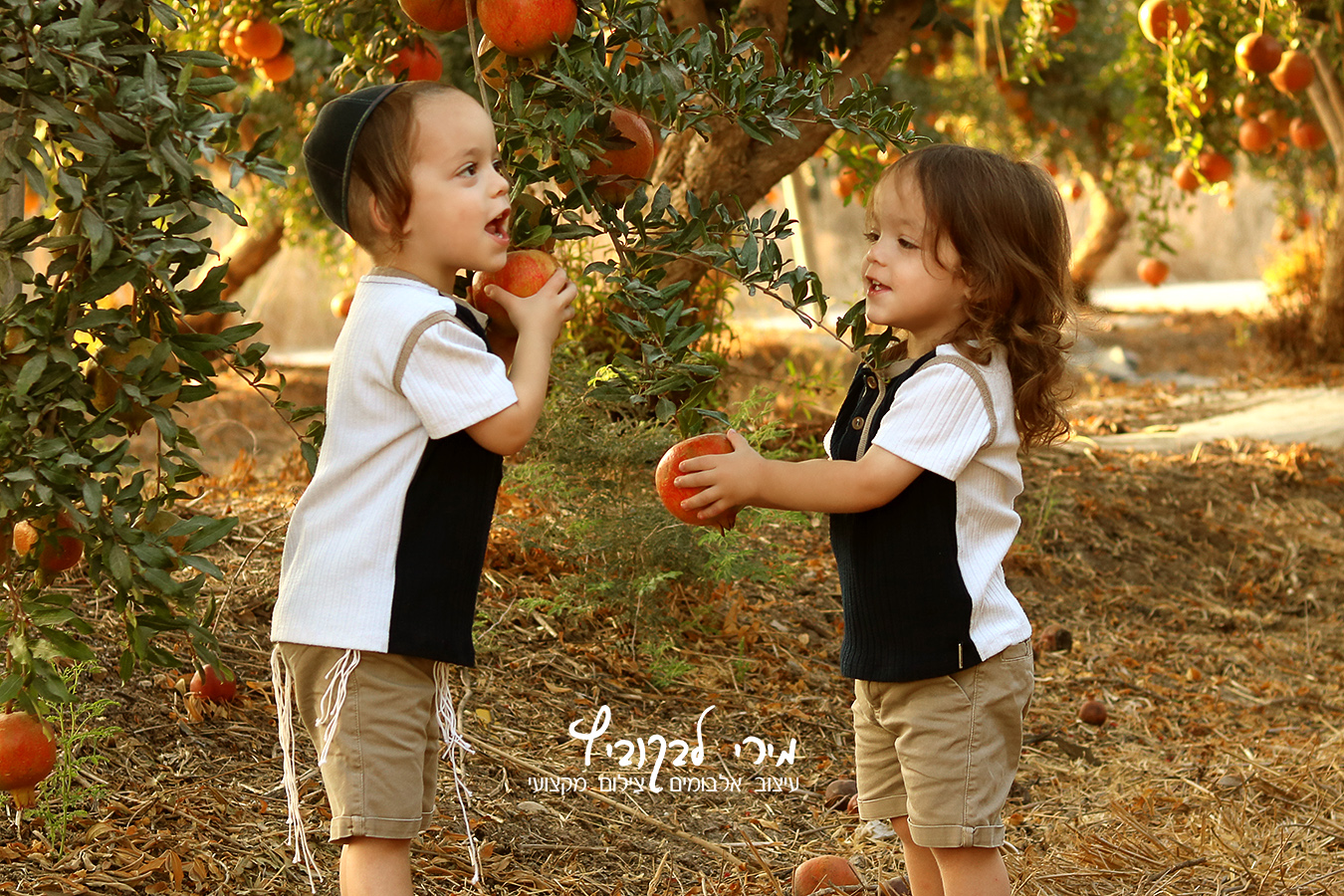 IMG_אדום5105 copy.jpg