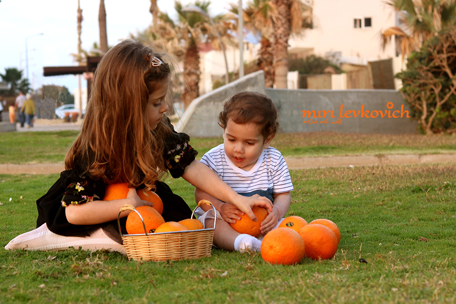 IMG_מעו5265קטן copy.jpg