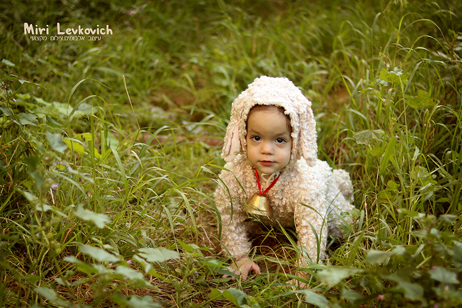 IMG_קטנה3000 copy.jpg