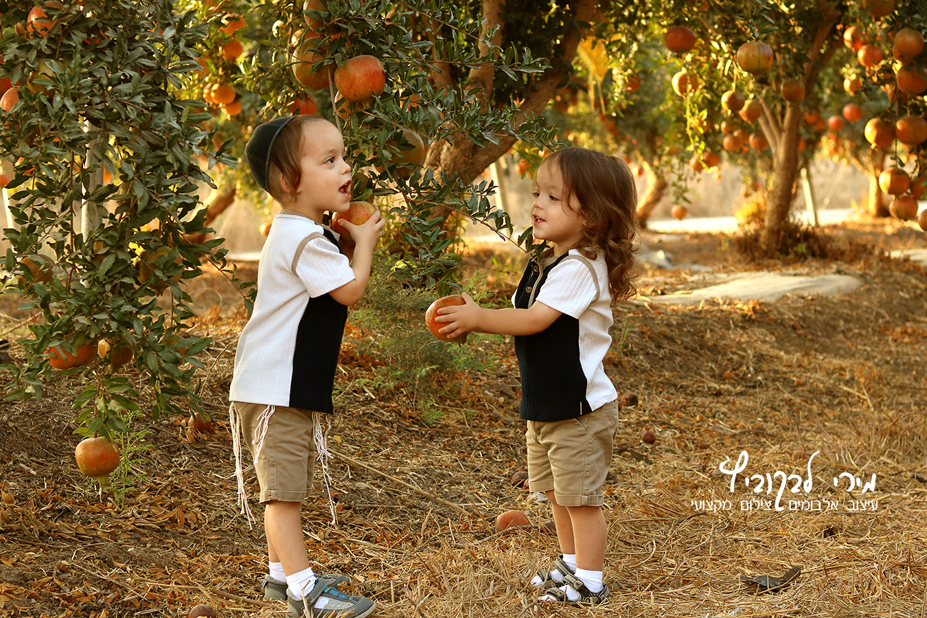 IMG_רחב5105 copy.JPG