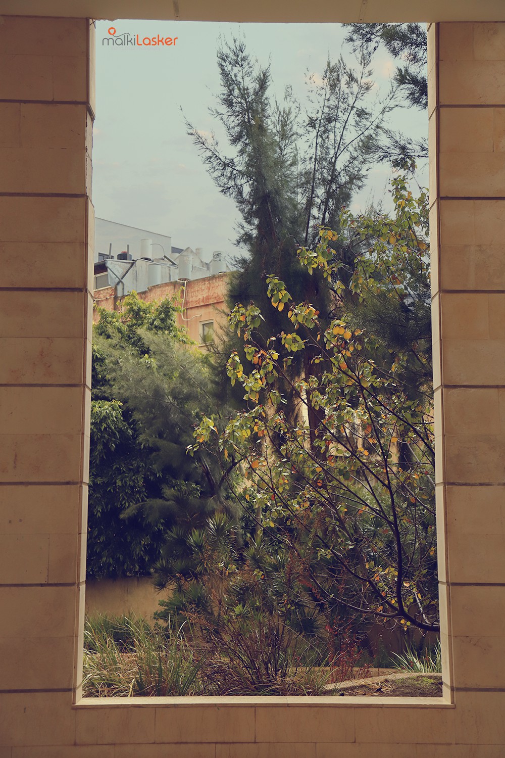 IMG_0029 ר נמוכה.jpg