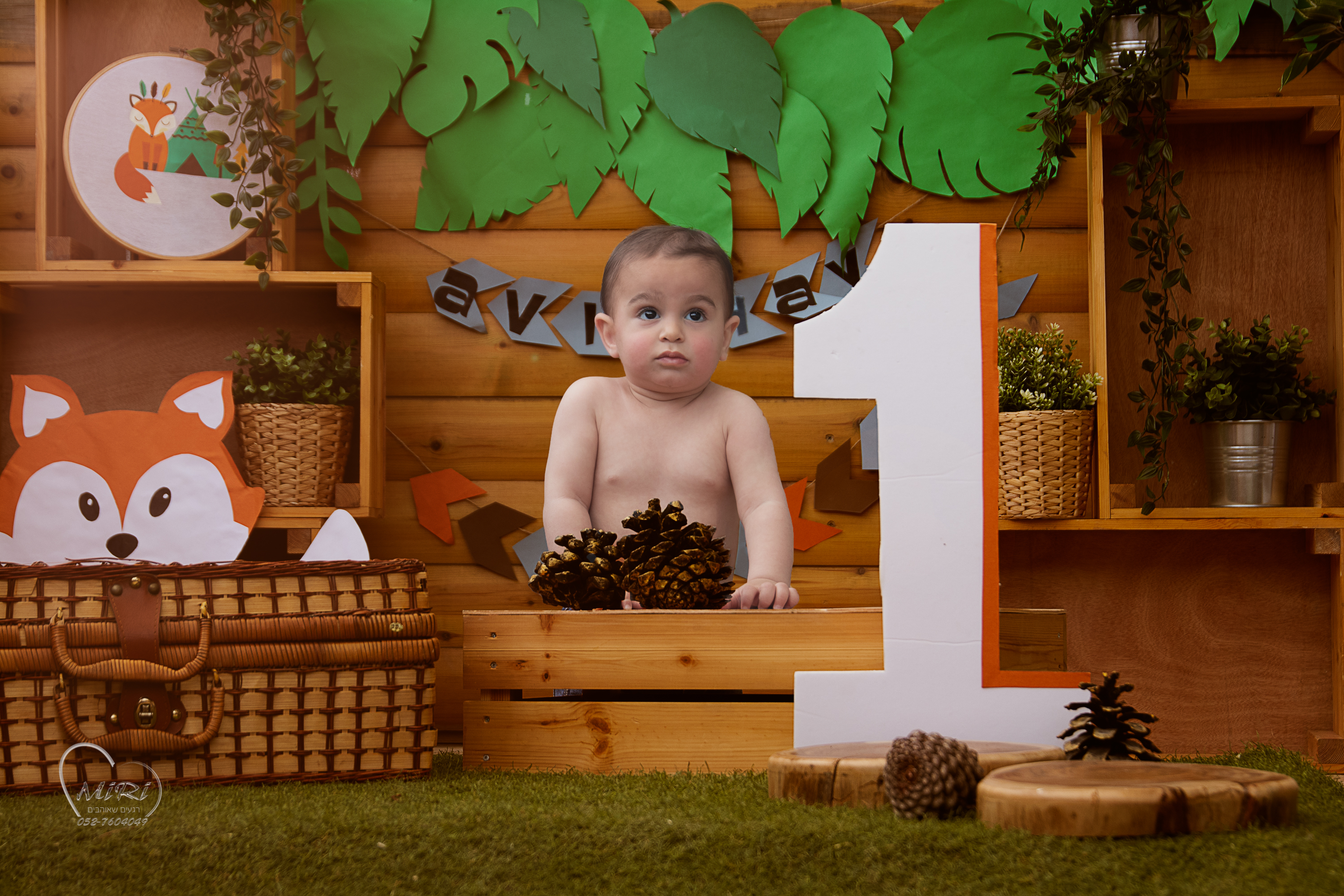 IMG_0113 יער.jpg