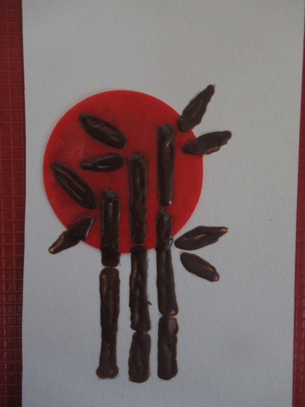 IMG_0214_800x600 (1).jpg