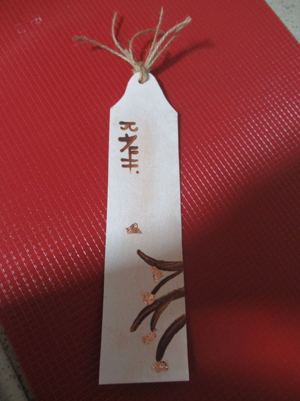 IMG_0218_800x600 (1).jpg