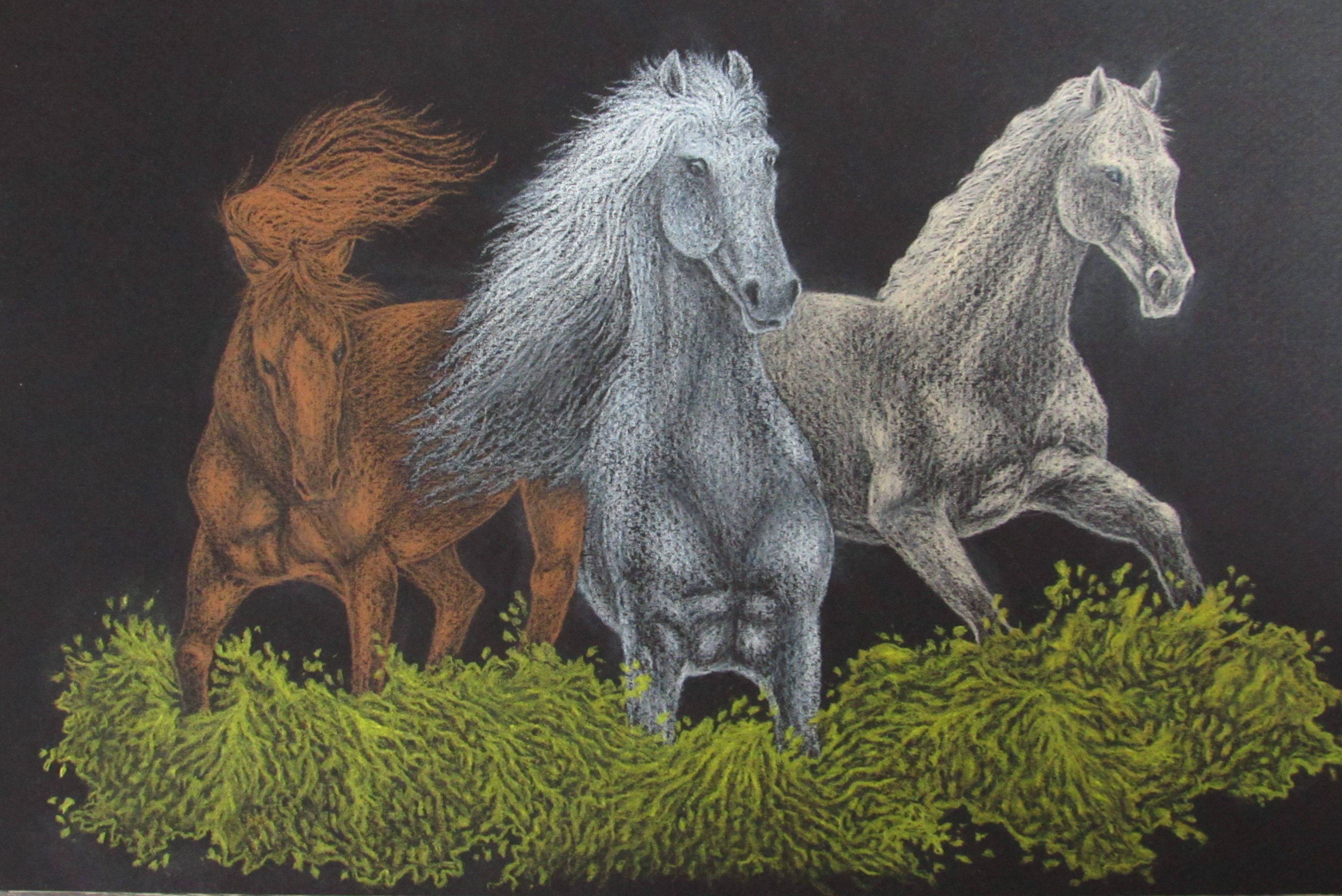 IMG_0376 - עותק.JPG