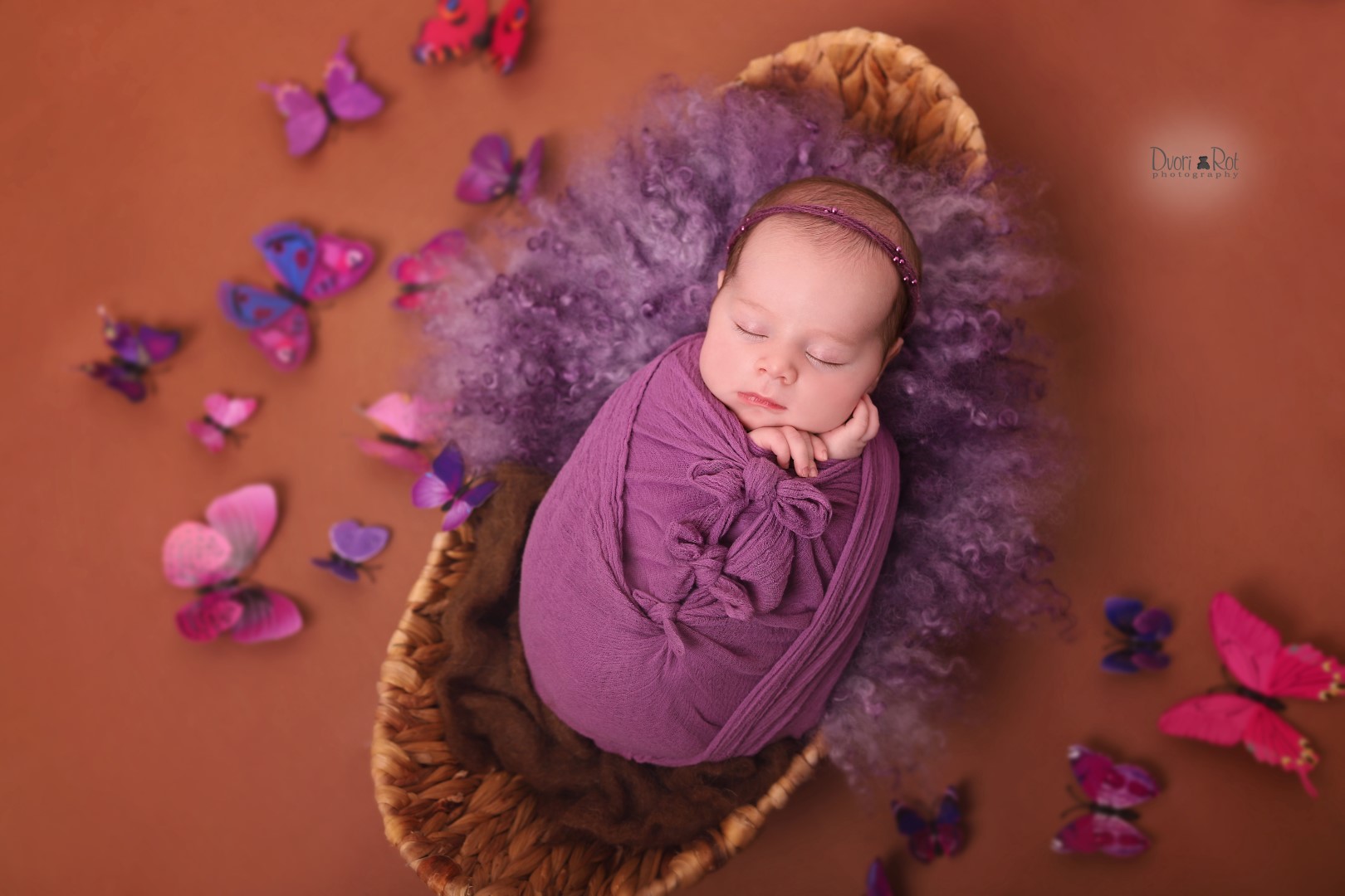 IMG_0454 01 (Large).jpg