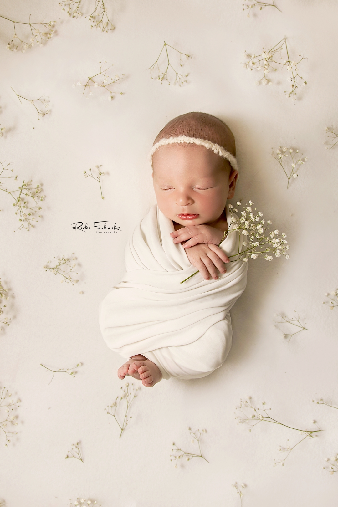 IMG_0463 (Large).jpg