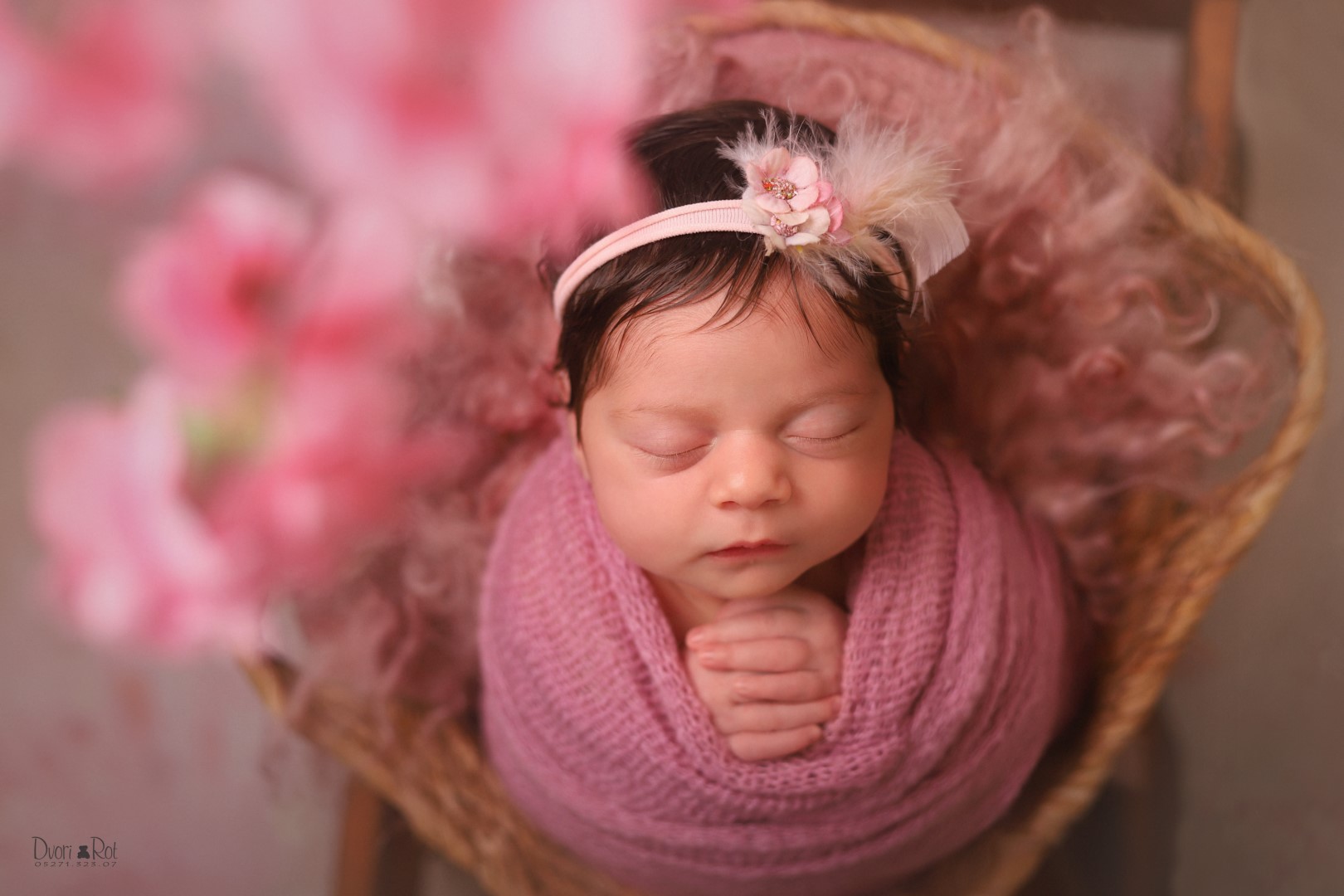 IMG_0515 copy (Large).jpg