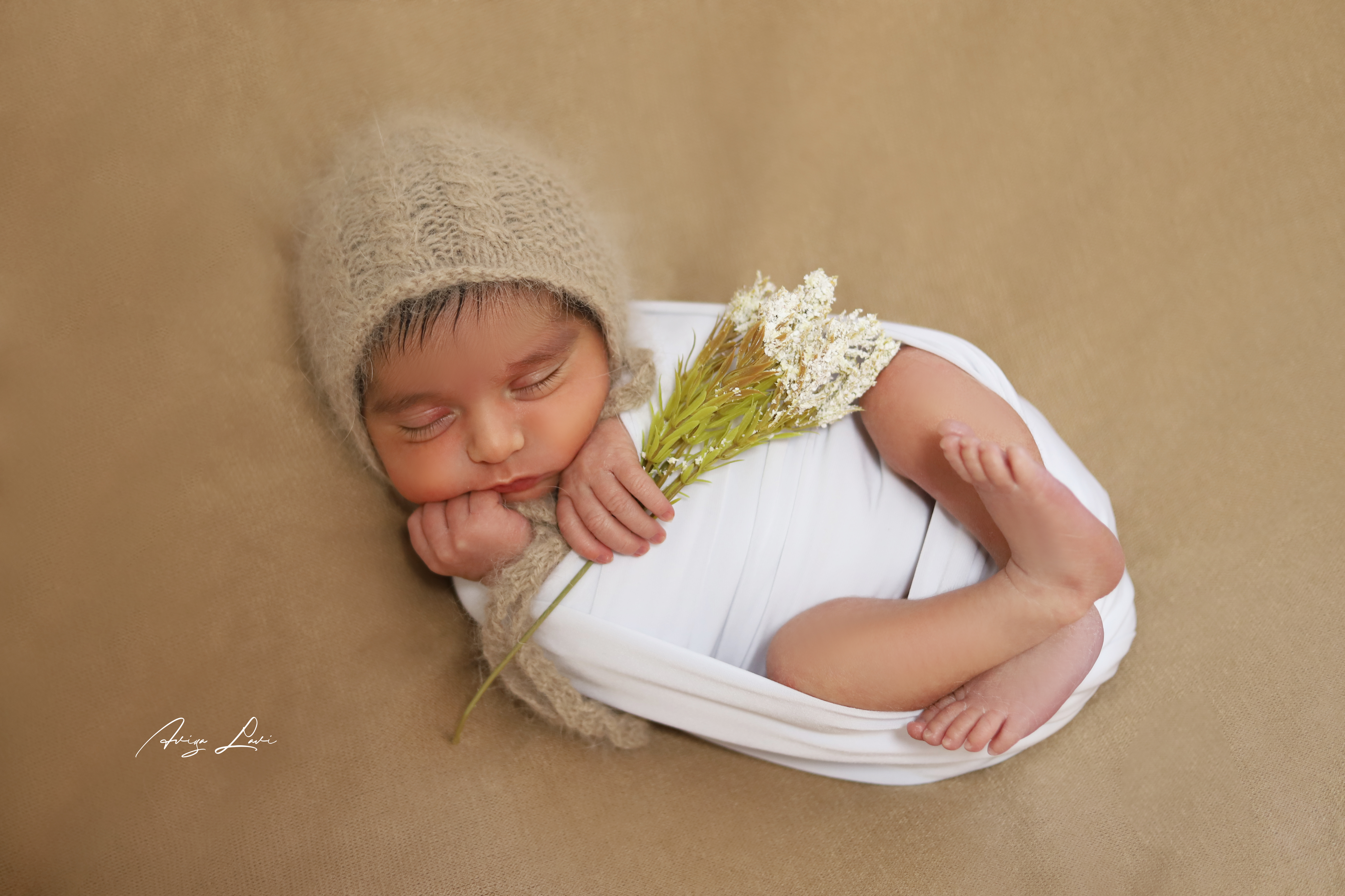 IMG_0573 לוגו.jpg