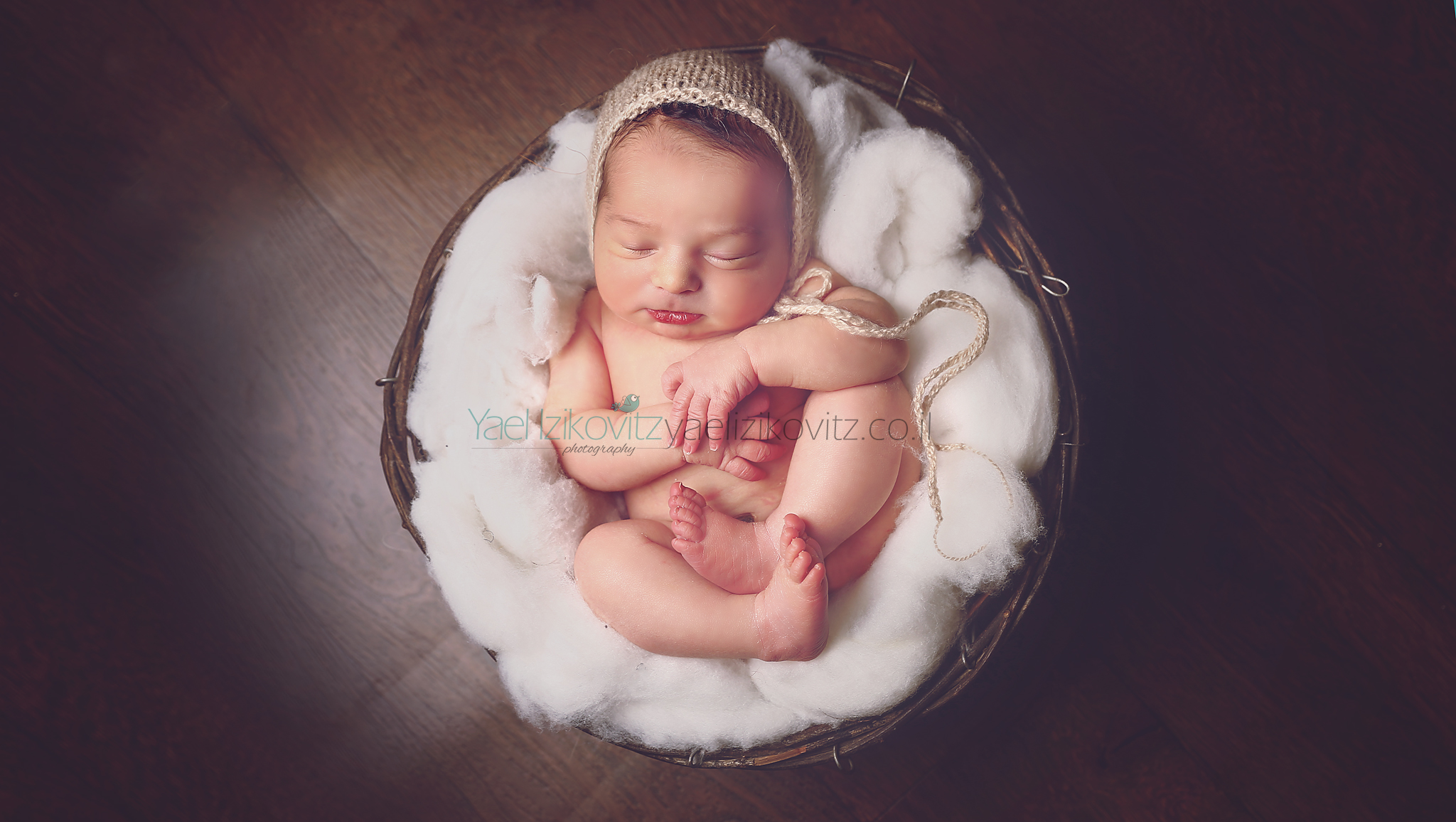 IMG_0573.jpg מוקטןמעובד.jpg