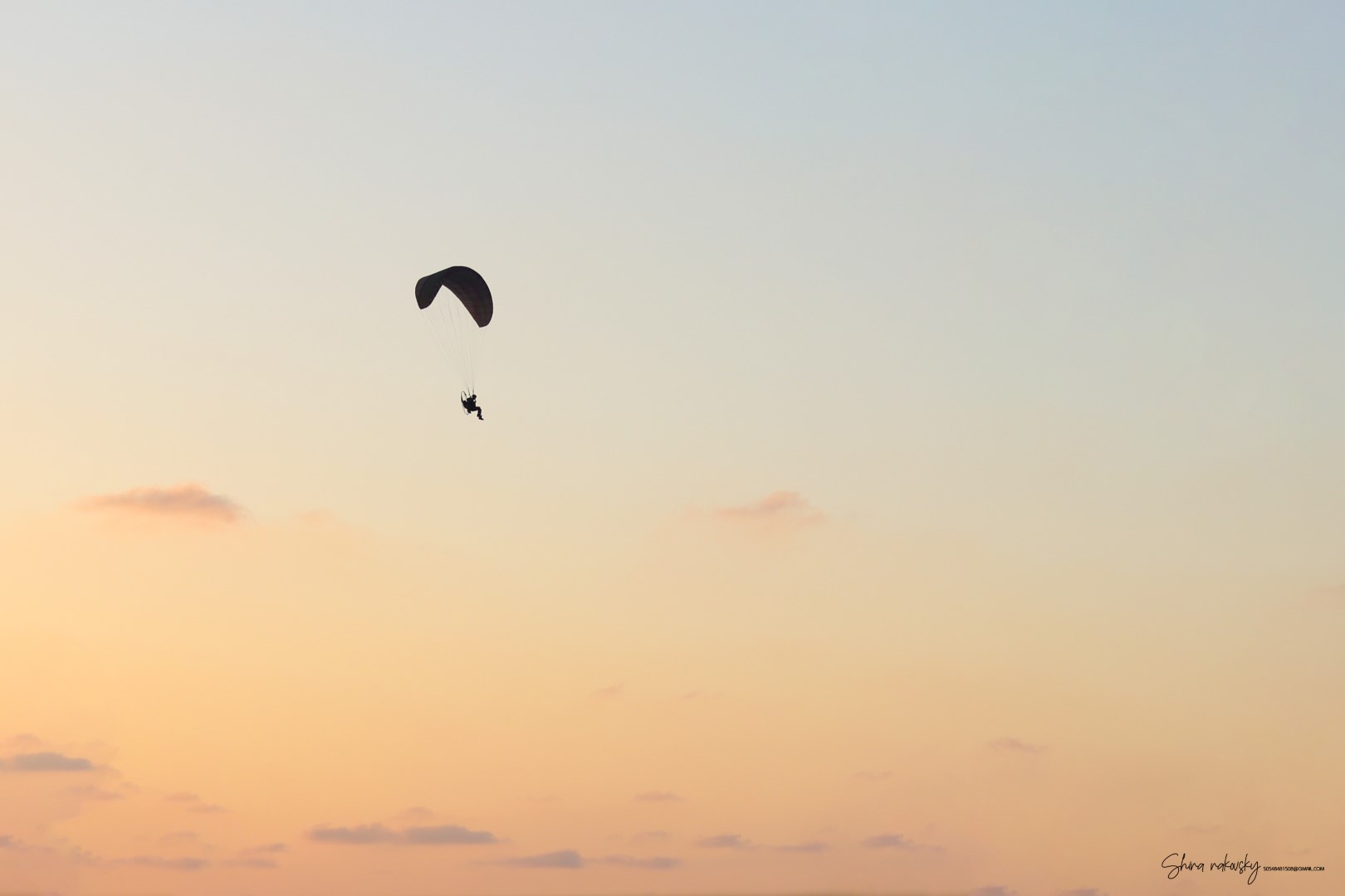 IMG_0643 copy (Large).jpg